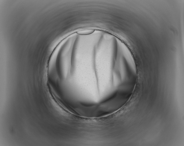 X0000113371524200910061050