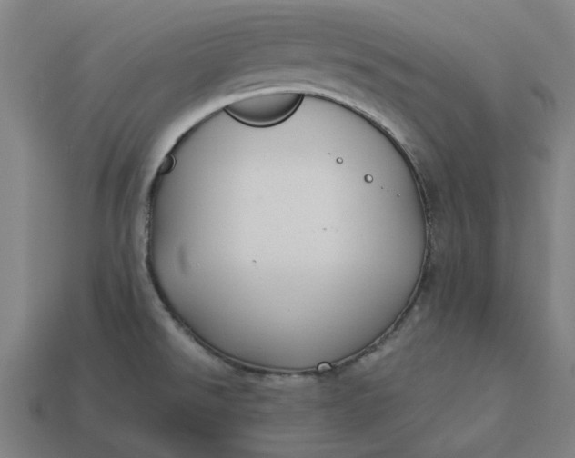 X0000113371526200910061050