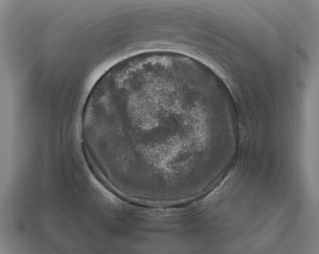 X0000113371527200910061050