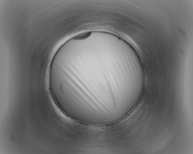 X0000113371528200910061050