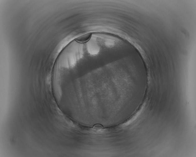 X0000113371529200910061050