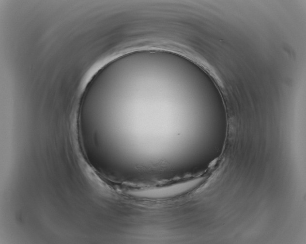 X0000113371530200910061050