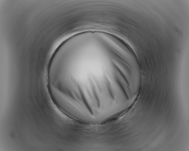 X0000113371531200910061050