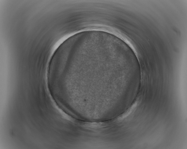 X0000113371533200910061050