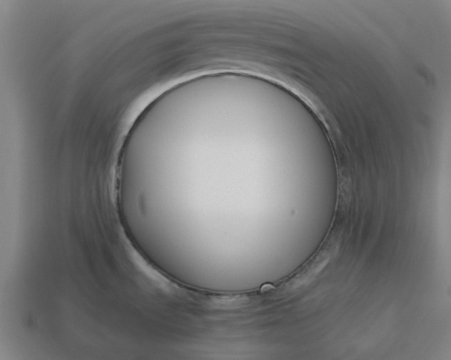 X0000113371535200910061050