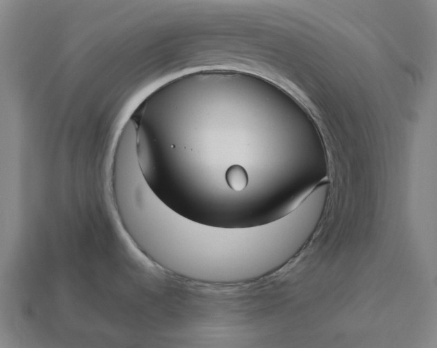 X0000113371536200910061050