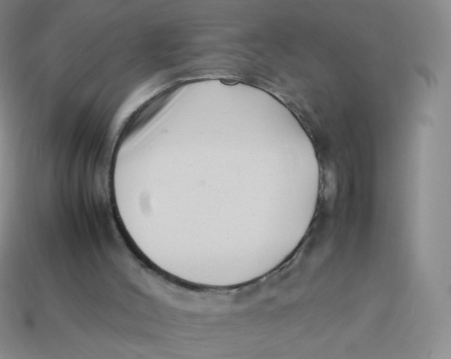 X0000113370004200910131330