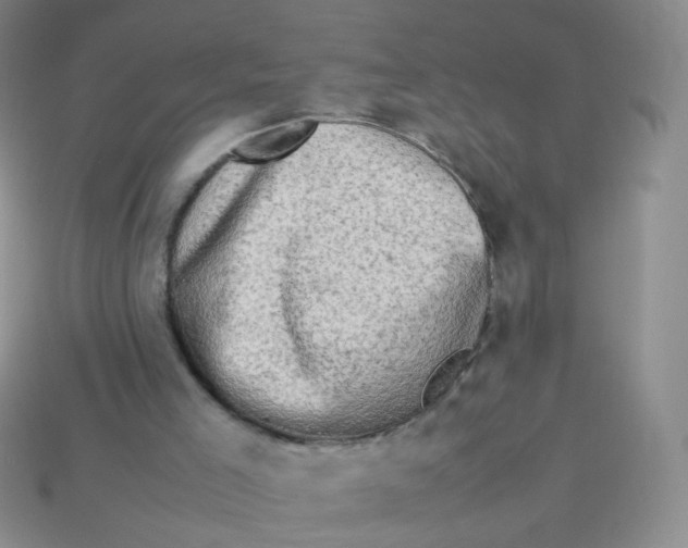 X0000113370005200910131330