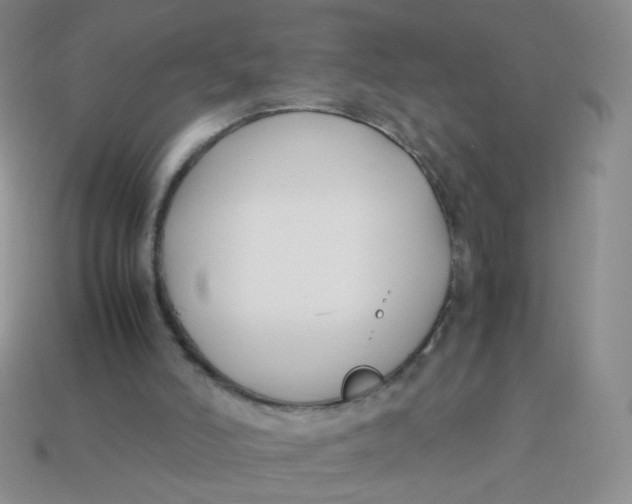 X0000113370006200910131330