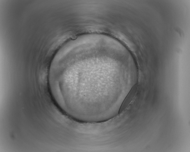 X0000113370009200910131330