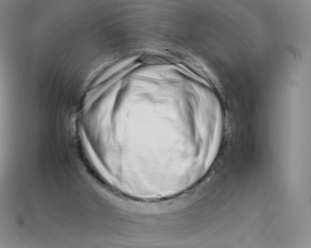 X0000113370010200910131330