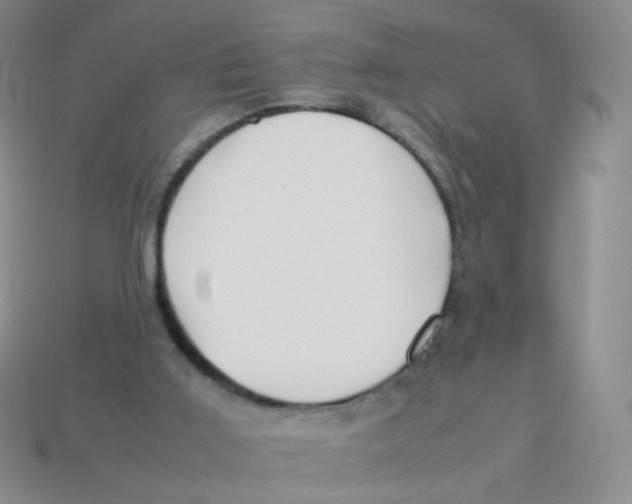 X0000113370011200910131330