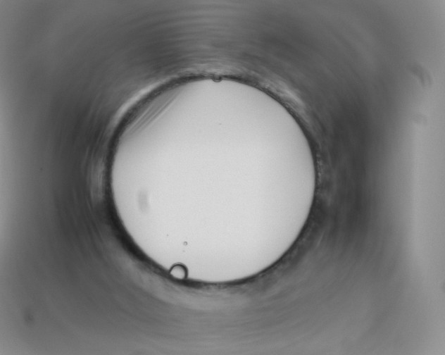 X0000113370012200910131330