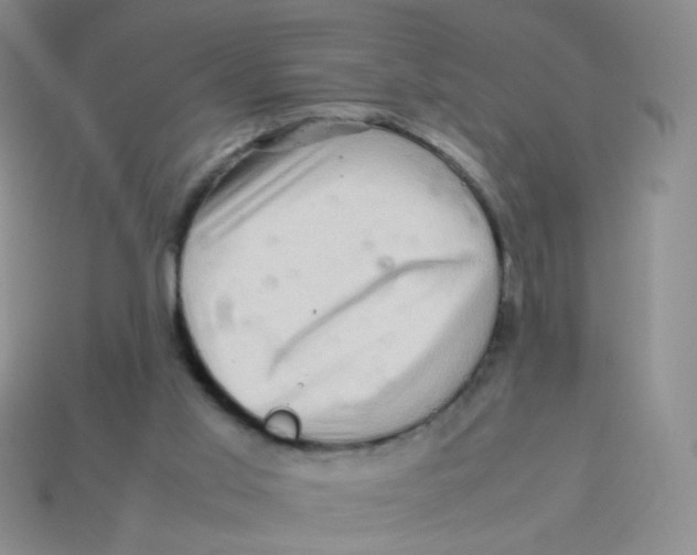 X0000113370013200910131330