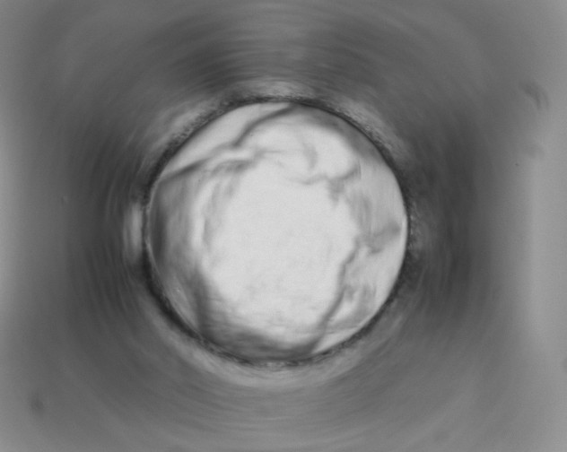 X0000113370014200910131330