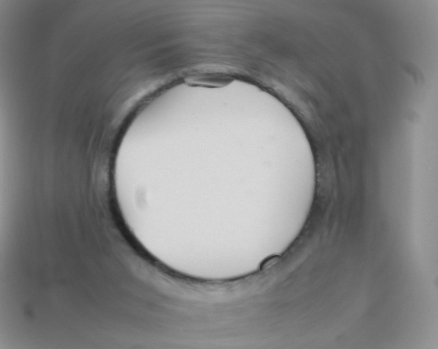 X0000113370015200910131330