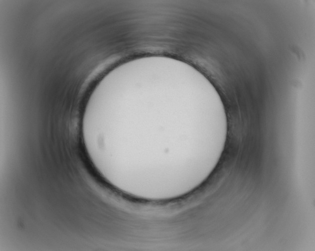 X0000113370016200910131330