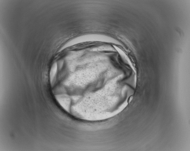 X0000113370017200910131330