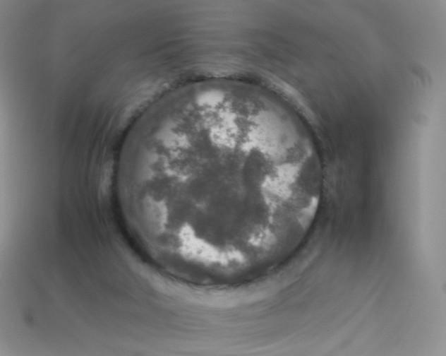 X0000113370018200910131330