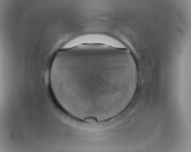 X0000113370019200910131330