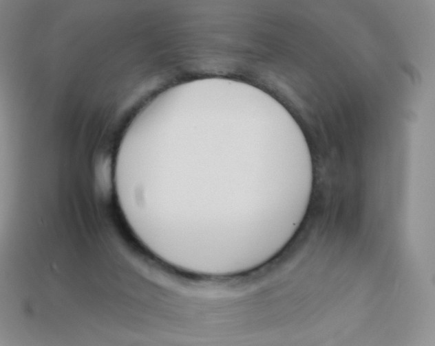 X0000113370020200910131330