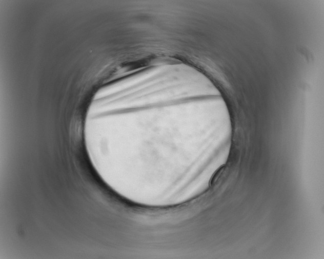 X0000113370021200910131330