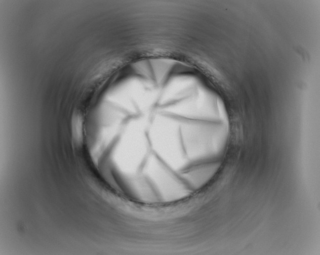 X0000113370022200910131330