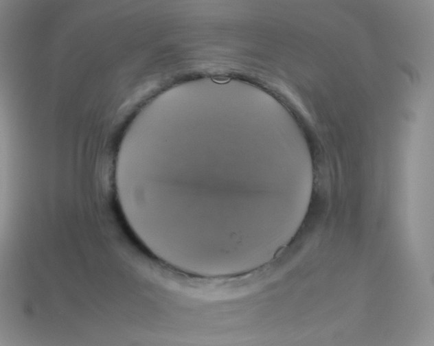 X0000113370023200910131330