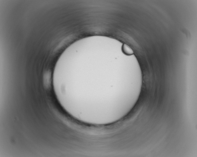 X0000113370024200910131330