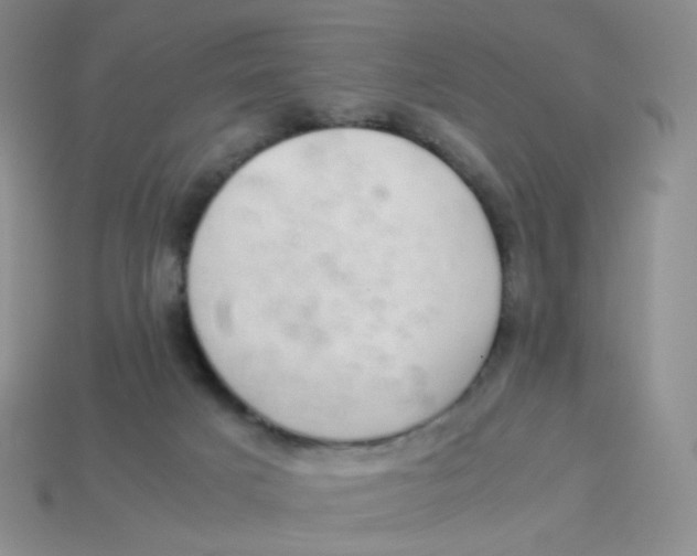 X0000113370025200910131330