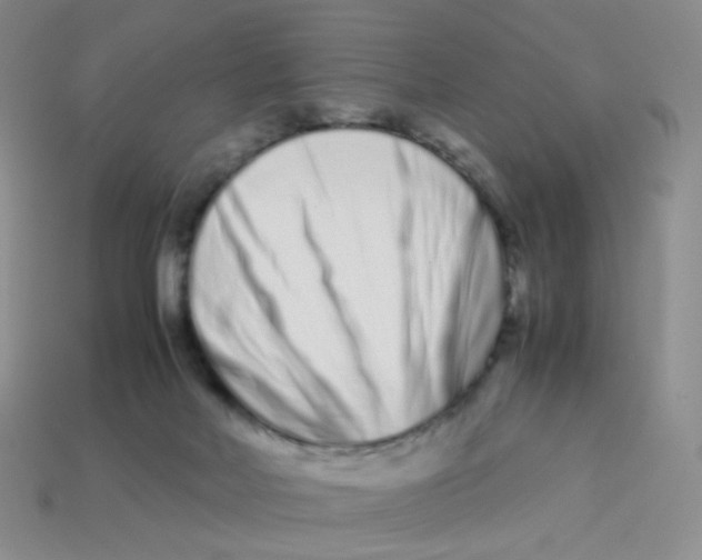 X0000113370026200910131330