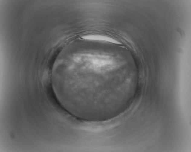 X0000113370029200910131330