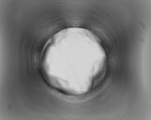 X0000113370030200910131330