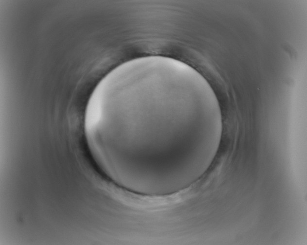 X0000113370031200910131330