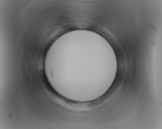 X0000113370032200910131330