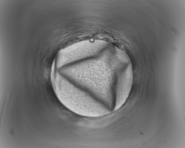 X0000113370033200910131330