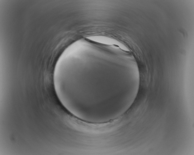 X0000113370035200910131330