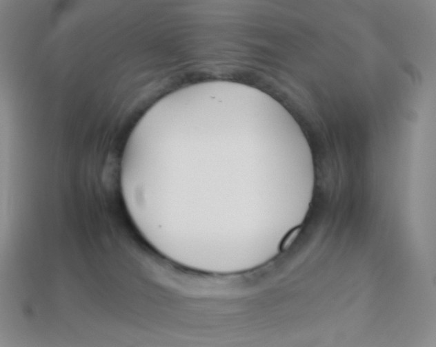 X0000113370036200910131330