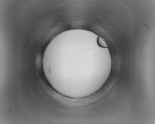 X0000113370038200910131329