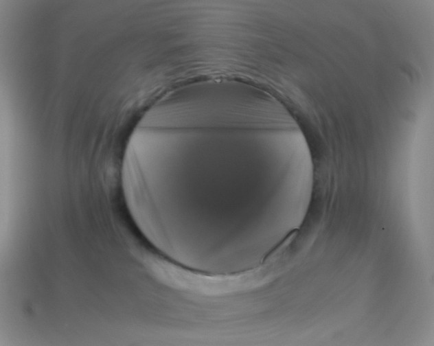 X0000113370039200910131329