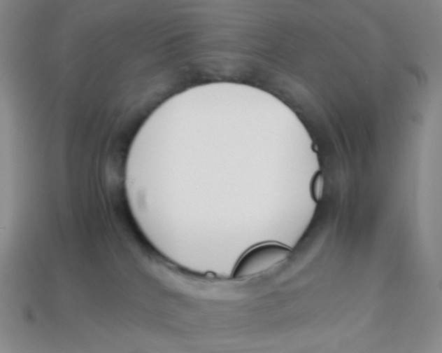 X0000113370040200910131329