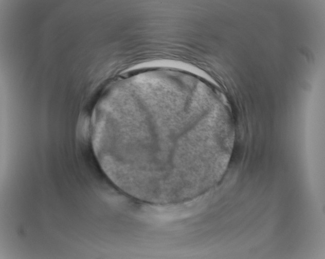 X0000113370041200910131329