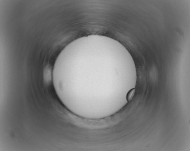 X0000113370042200910131329