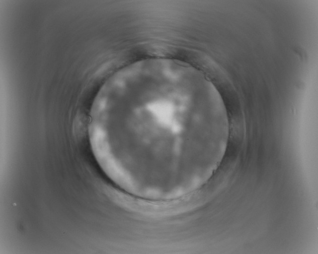 X0000113370043200910131329