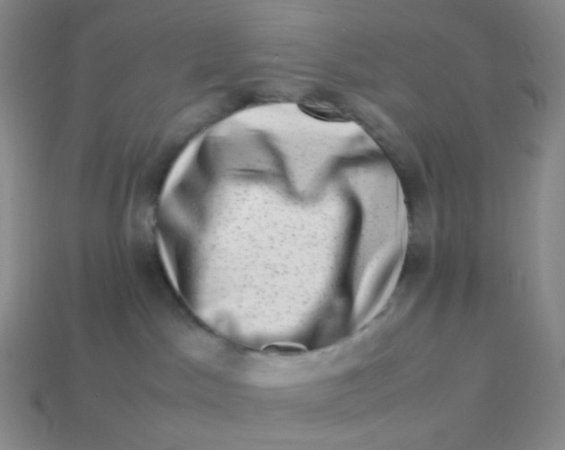 X0000113370045200910131329