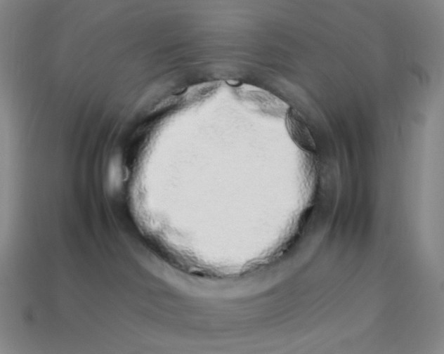 X0000113370046200910131329