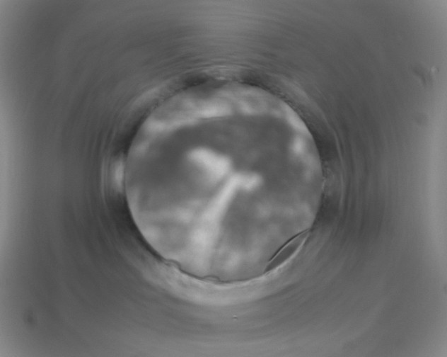 X0000113370047200910131329