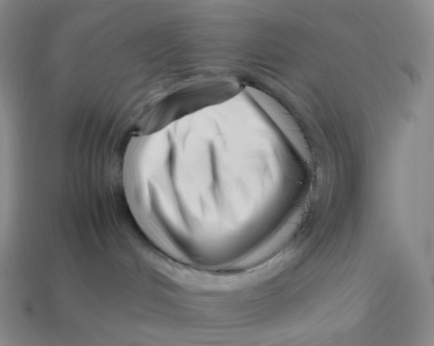 X0000113370048200910131329