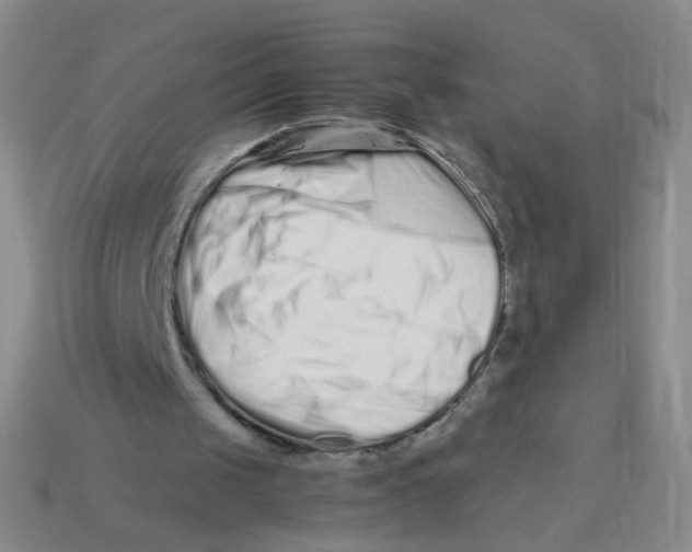 X0000113370049200910131329