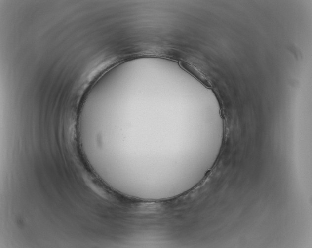X0000113370050200910131329